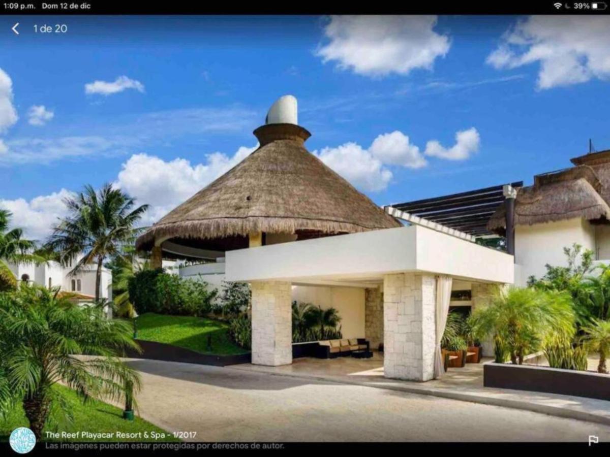 Spectacular Ph In Playacar - Private Rooftop, Pool By Yeah Playa del Carmen Zewnętrze zdjęcie